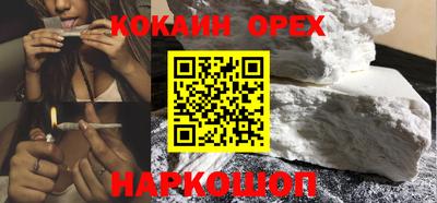 сатива Новозыбков