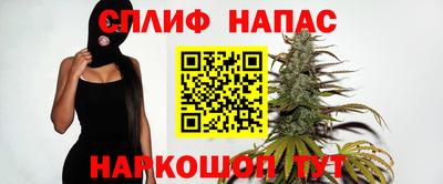 сатива Новозыбков