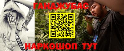 сатива Новозыбков