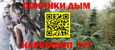 сатива Новозыбков