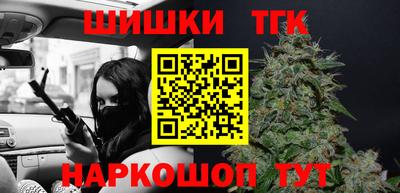 сатива Новозыбков
