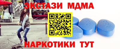 сатива Новозыбков