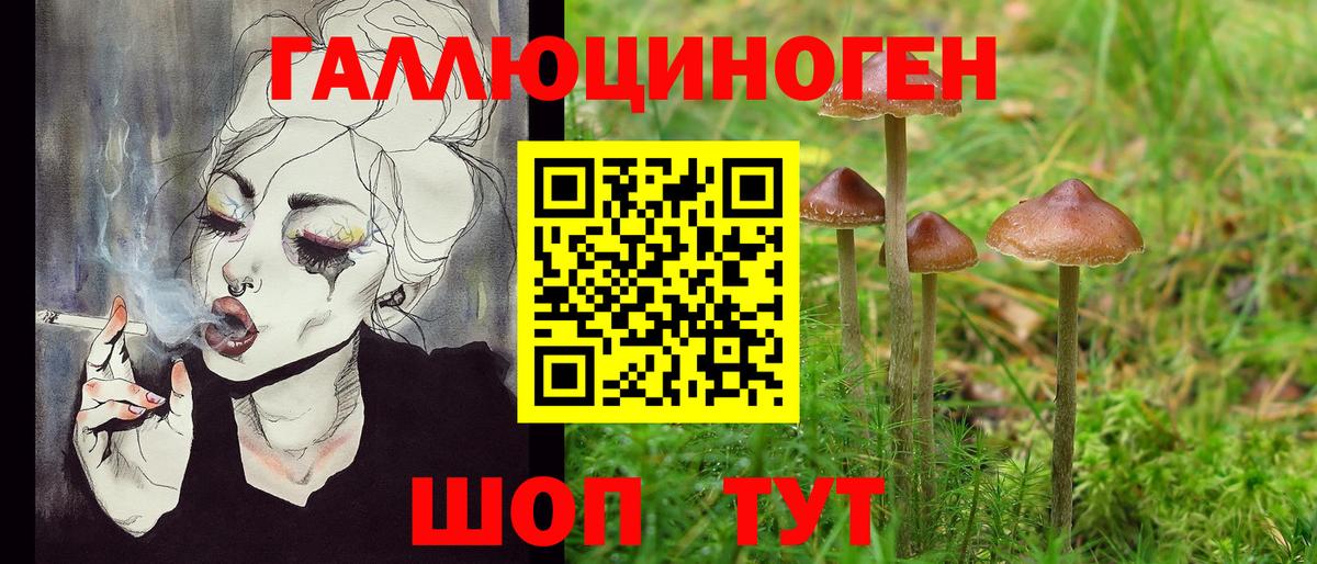 Псилоцибиновые грибы ЛСД Славянск-на-Кубани
